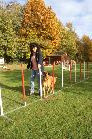 agility 2011-10-30